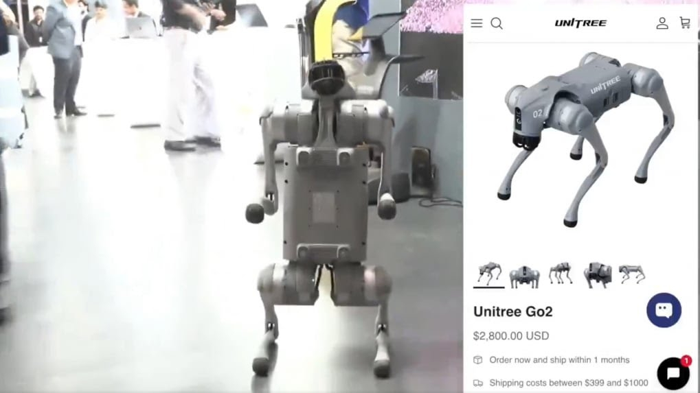 Galgotias University Chinese robot dog